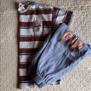Zara Brown and White Striped Top